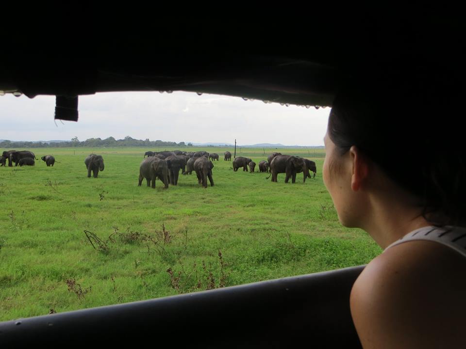invite-to-paradise-holiday-honeymoon-sri-lanka-couple-october-74.jpg