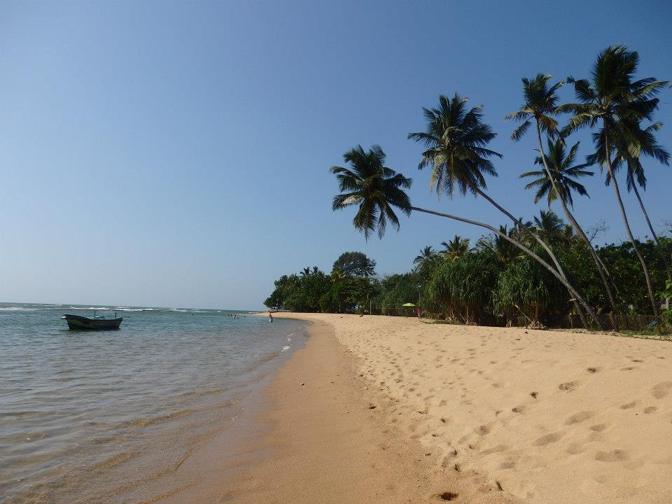 invite-to-paradise-customer-review-claire-simon-honeymoon-sri-lanka-beach.jpg