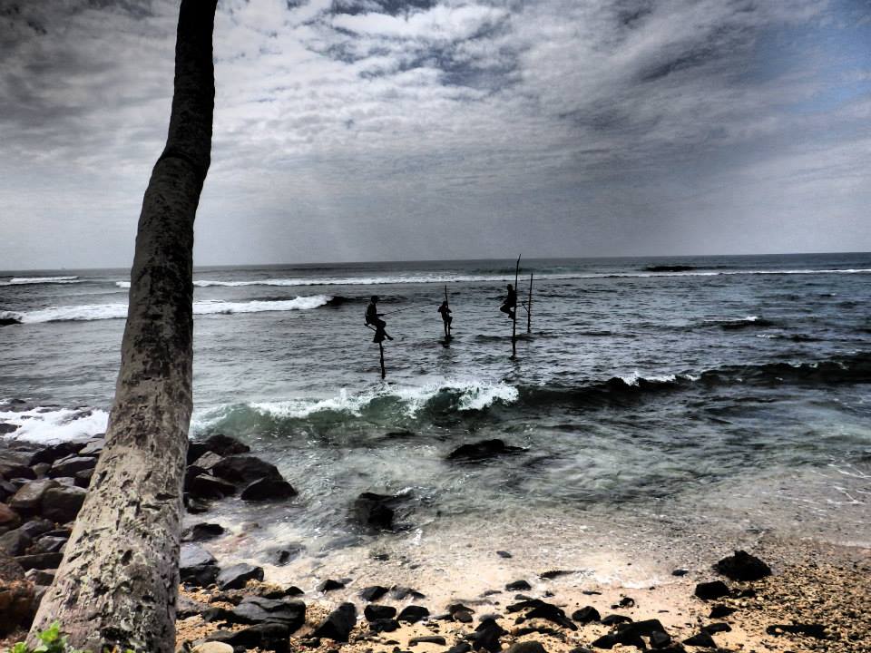 invite-to-paradise-customer-review-claire-simon-honeymoon-sri-lanka-stilt-fisherman.jpg