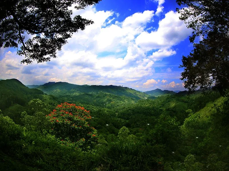 Invite-to-Paradise-Sri-Lanka-holiday-honeymoon-hotel-tea-plantation-boutique-the-secret-ella-view1.jpg