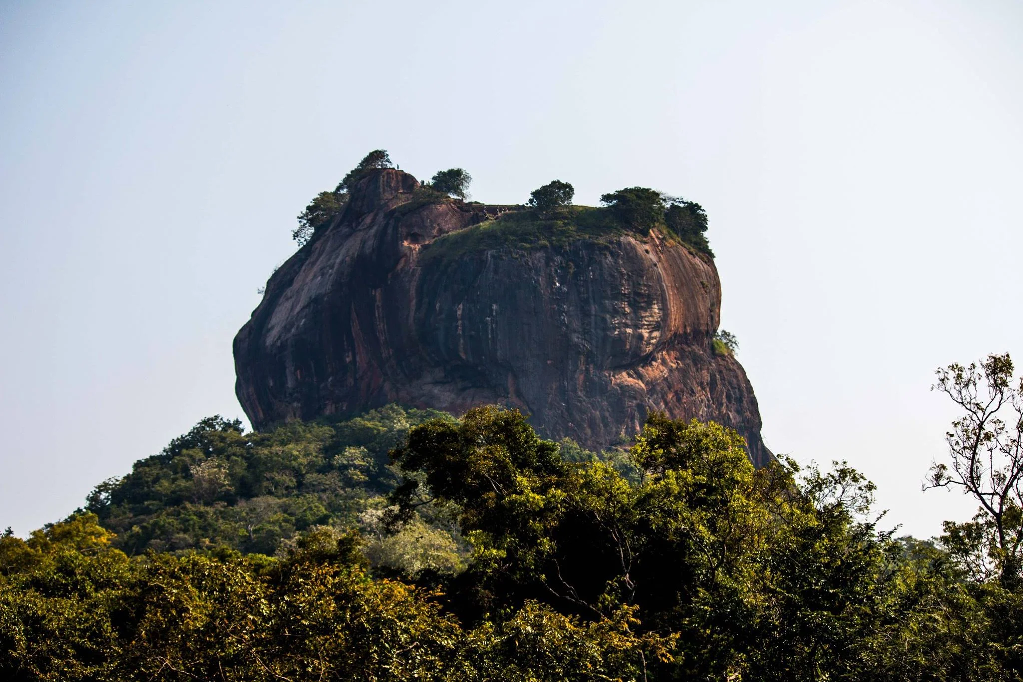 invite-to-paradise-sri-lanka-and-maldives-specialists-travel-agent-tour-operator-customer-review--feedback-joel-rhian-sigiriya-1.jpg