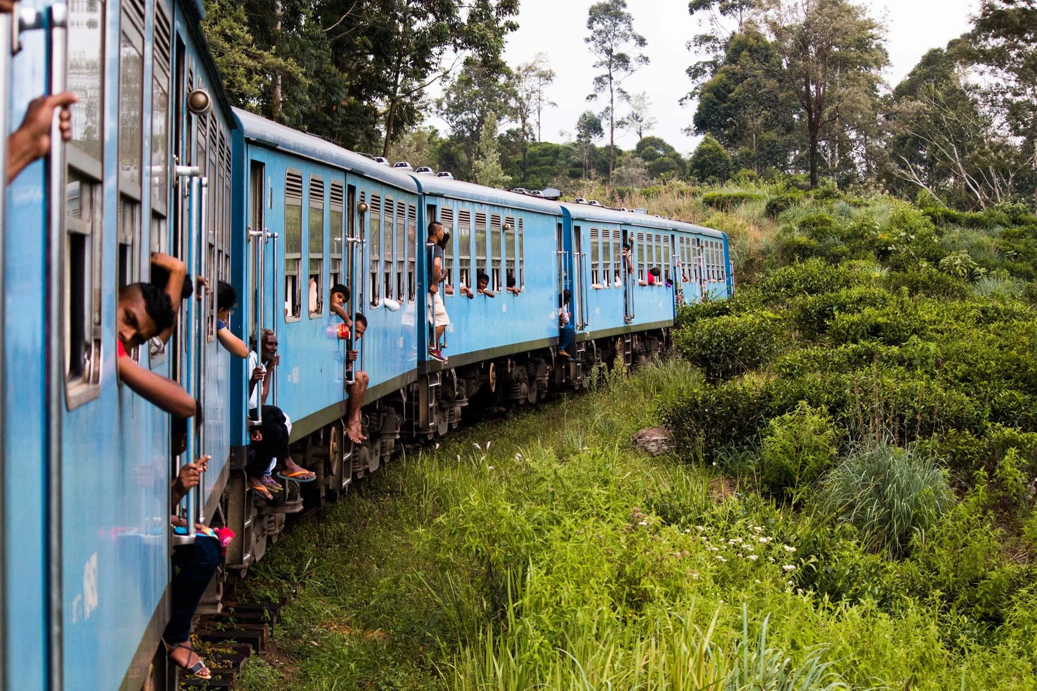 invite-to-paradise-sri-lanka-and-maldives-specialists-travel-agent-tour-operator-customer-review--feedback-joel-rhian-train-1.jpg