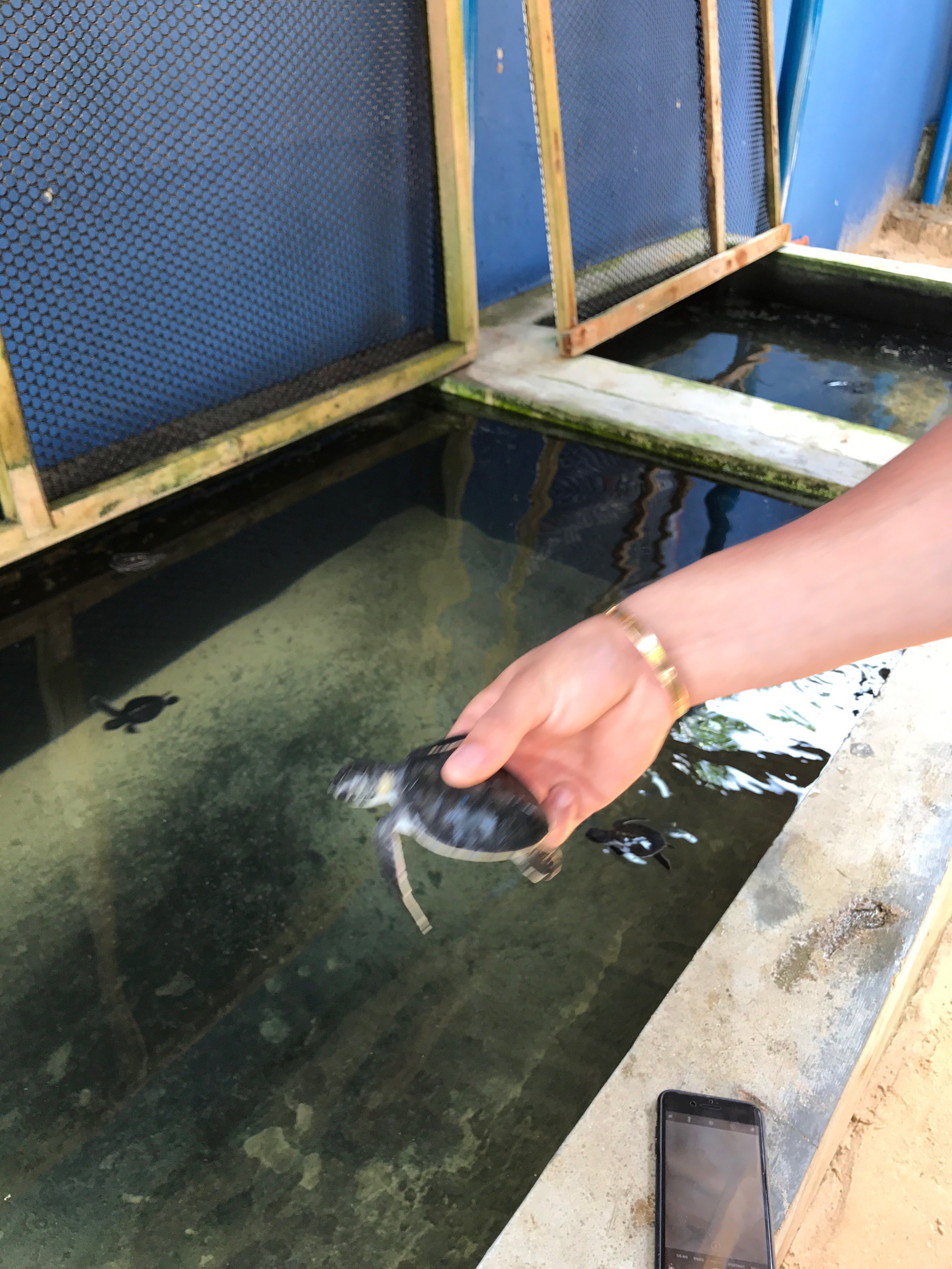 invite-to-paradise-maldives-sri-lanka-specialists-experts-travel-agent-tour-operator-customer-feedback-lucas-emily-fenning-elephant-orphanage-sea-turtle-hatchery-1.jpg