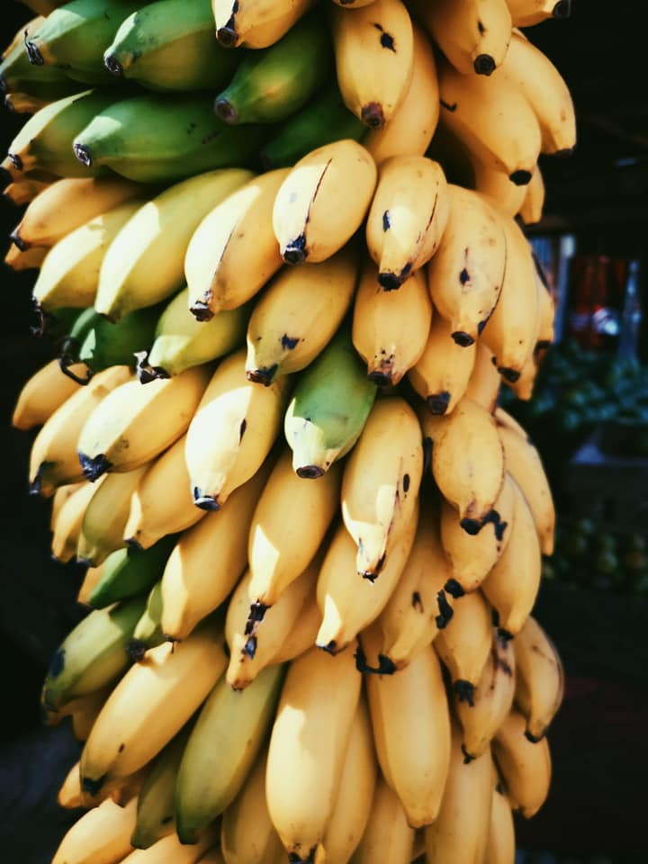invite-to-paradise-sri-lanka-holiday-honeymoon-specialists-customer-feedback-elin-jordan-luce-banana.jpg
