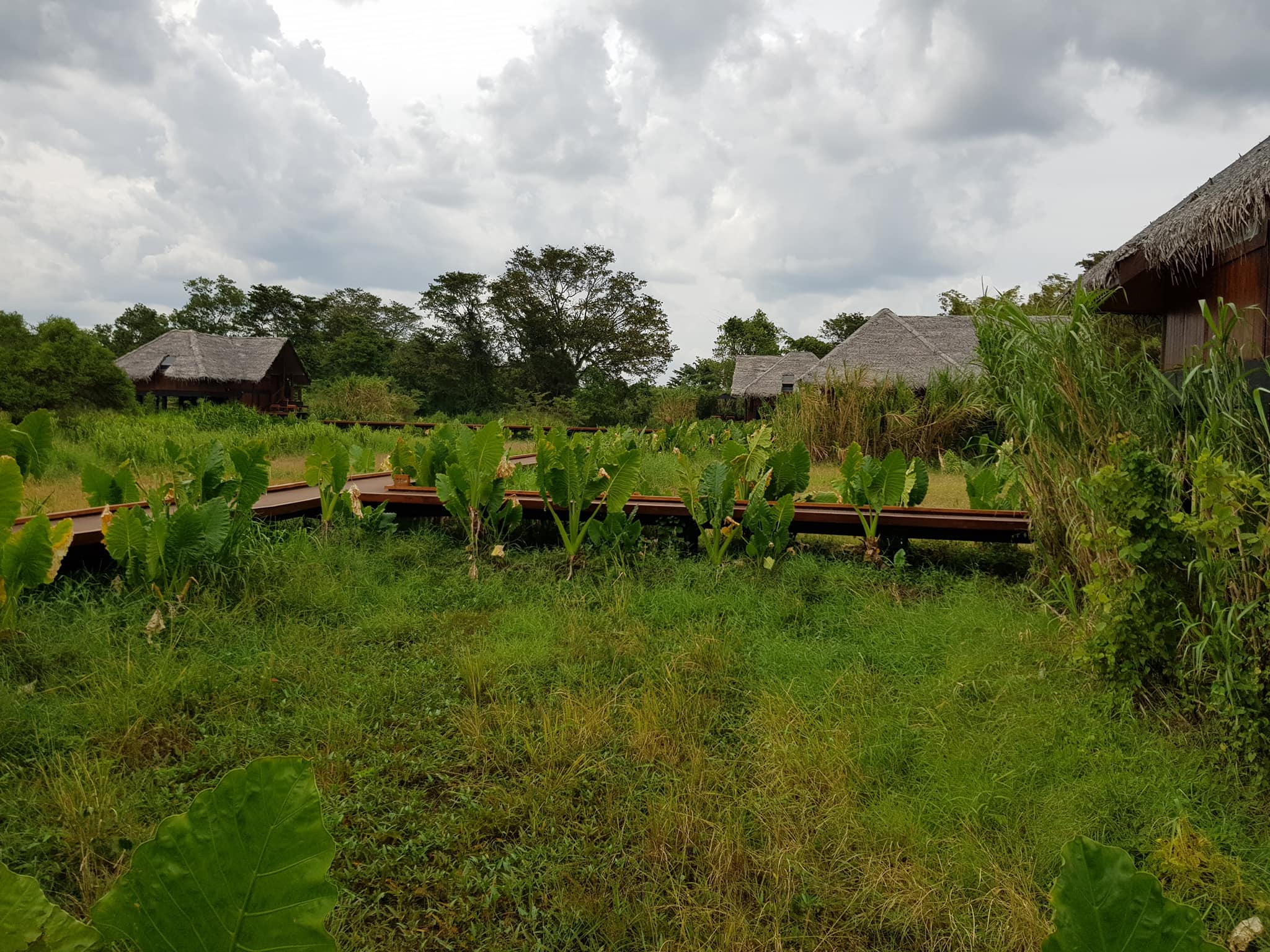 invite-to-paradise-sri-lanka-maldives-holiday-honeymoon-specialists-customer-guest-feedback-zane-lisa-butcher-jetwing-vil-uyana-hotel-sigiriya-cultural-triangle-dwellings.jpg