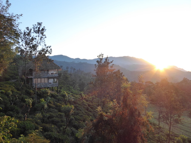 invite-to-paradise-sri-lanka-family-holiday-specialists-customer-feedback-pickering-98-acres-ella-view.jpeg