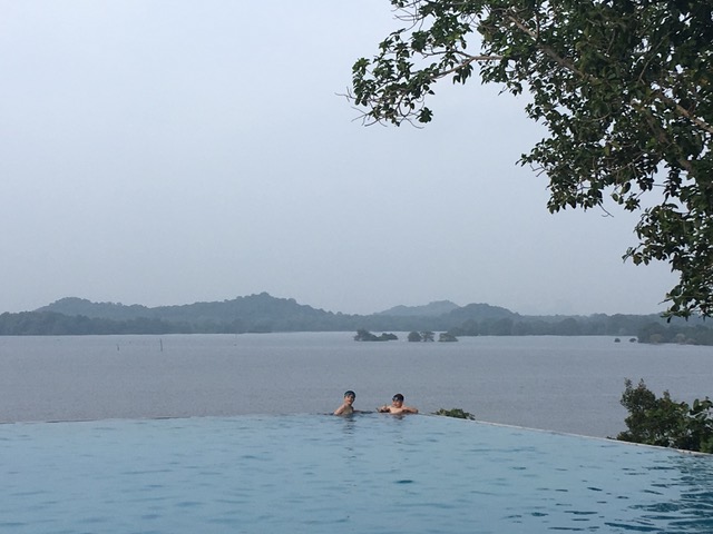 invite-to-paradise-sri-lanka-family-holiday-specialists-customer-feedback-pickering-kandalama-infinity-pool.jpeg