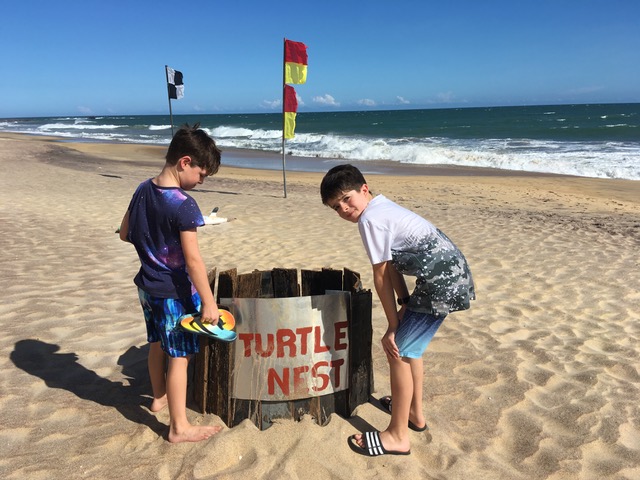 invite-to-paradise-sri-lanka-family-holiday-specialists-customer-feedback-pickering-sea-turtle-nest-beach.jpeg