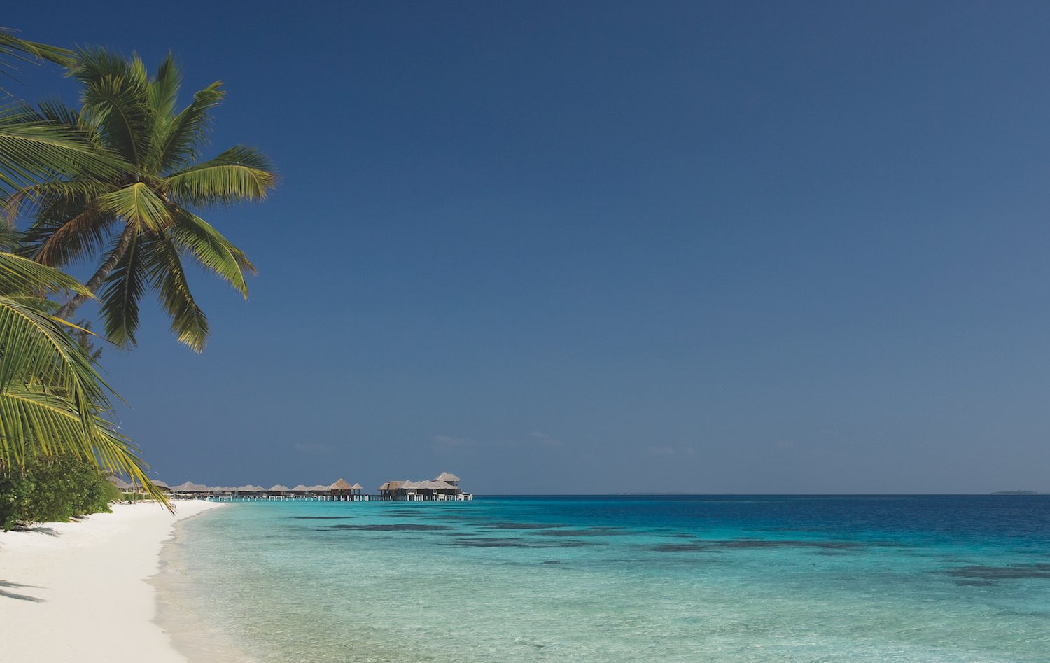 maldives-coco-bodu-hithi-4-holiday-honeymoon-vacation-invite-to-paradise.jpg