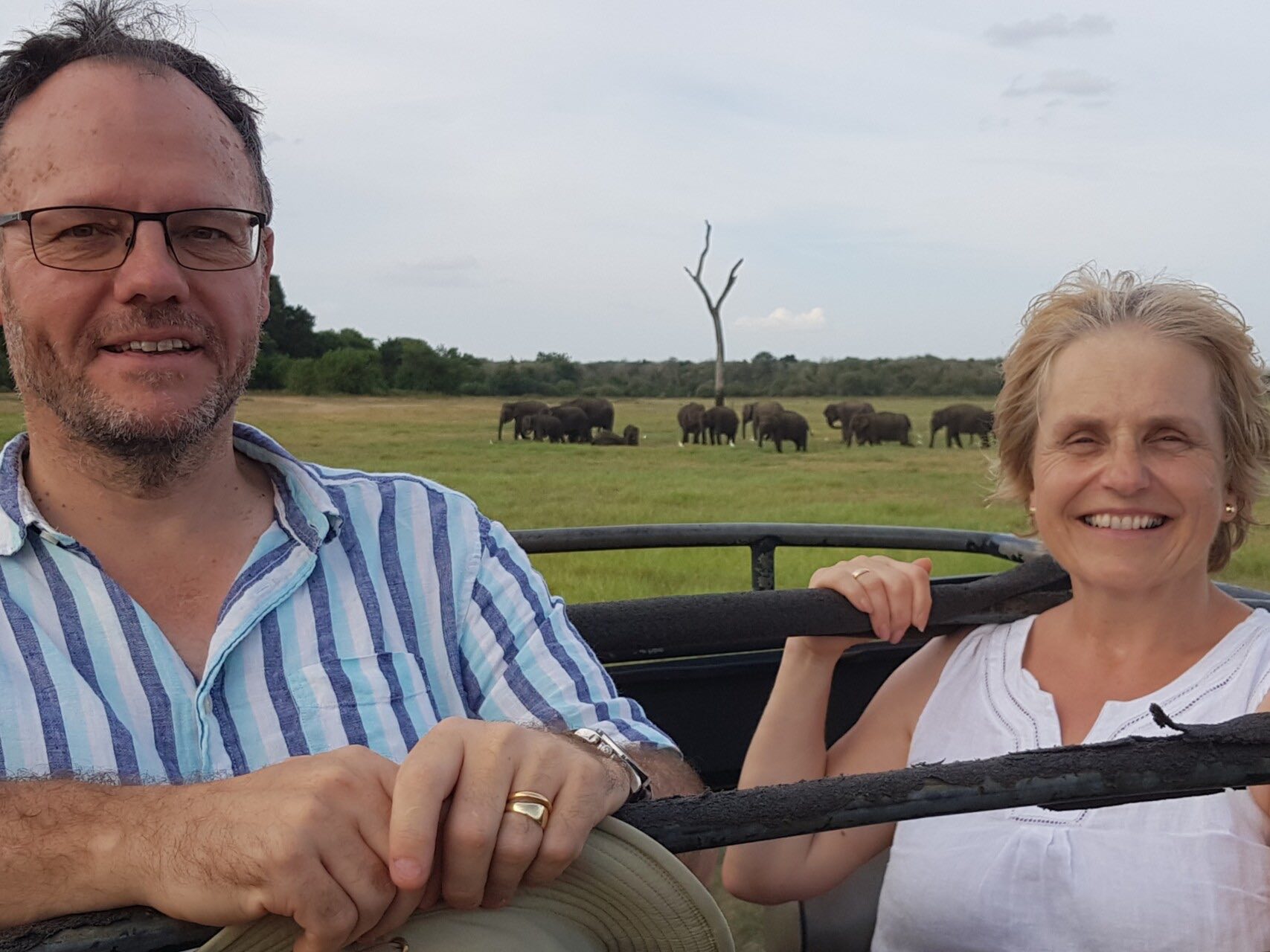 sri-lanka-elephant-wildlife-safari-jeep-holiday-review-feedback-invite-to-paradise-quentin-kate-hulm.jpg