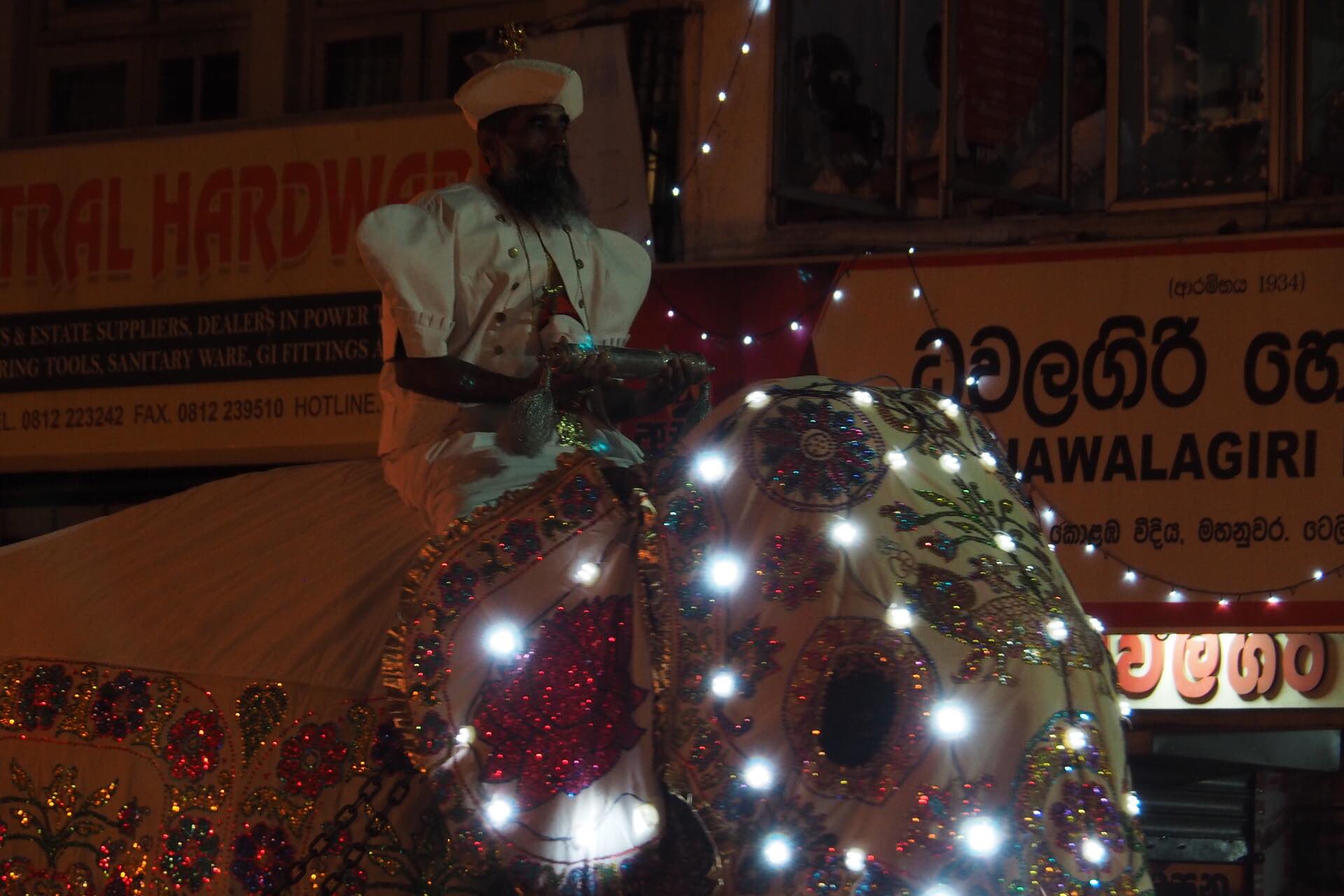 sri-lanka-kandy-perahera-elephants-holiday-review-feedback-invite-to-paradise-quentin-kate-hulm.jpg