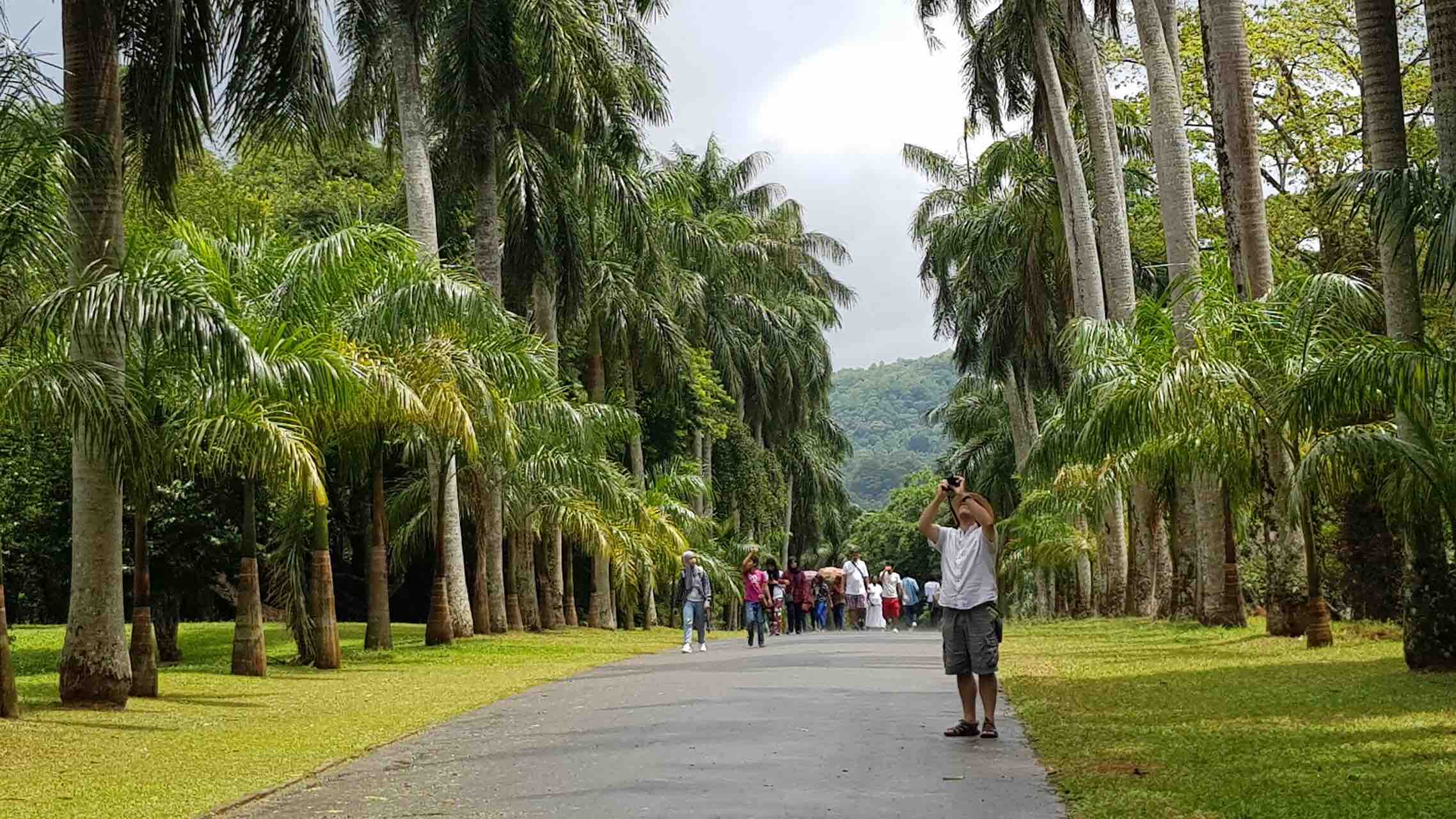 sri-lanka-kandy-royal-botanical-gardens-people-holiday-review-feedback-invite-to-paradise-quentin-kate-hulm.jpg