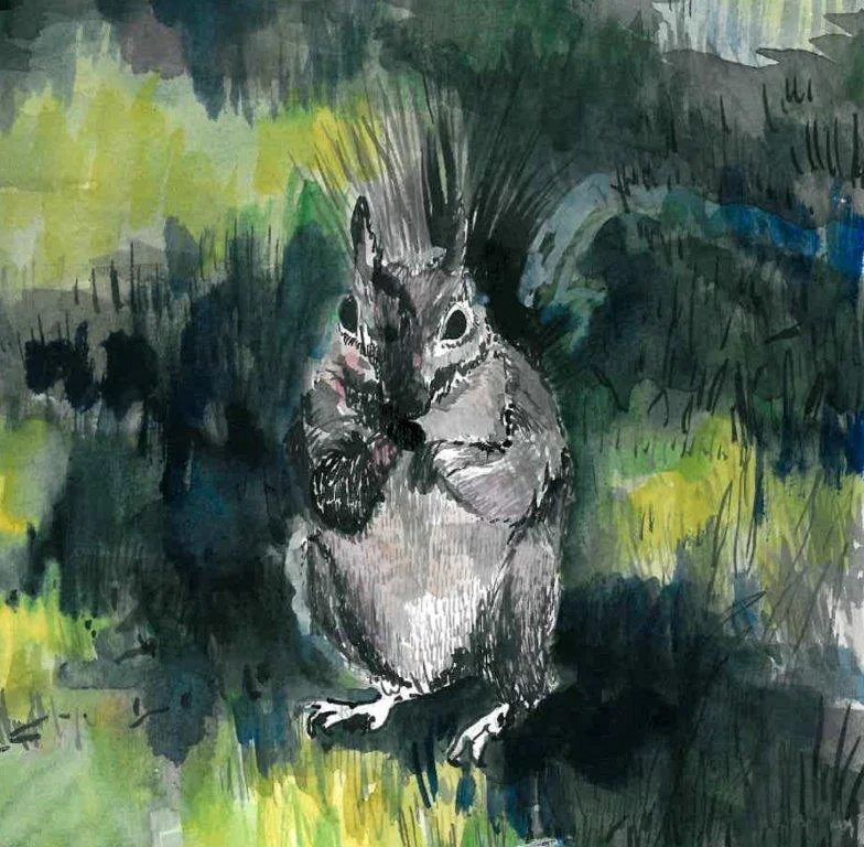squirrel.jpg