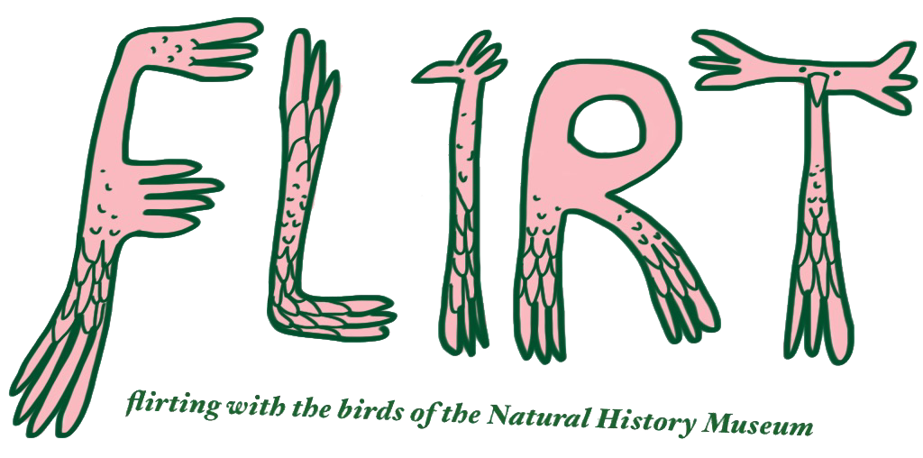 FLIRT title png.png