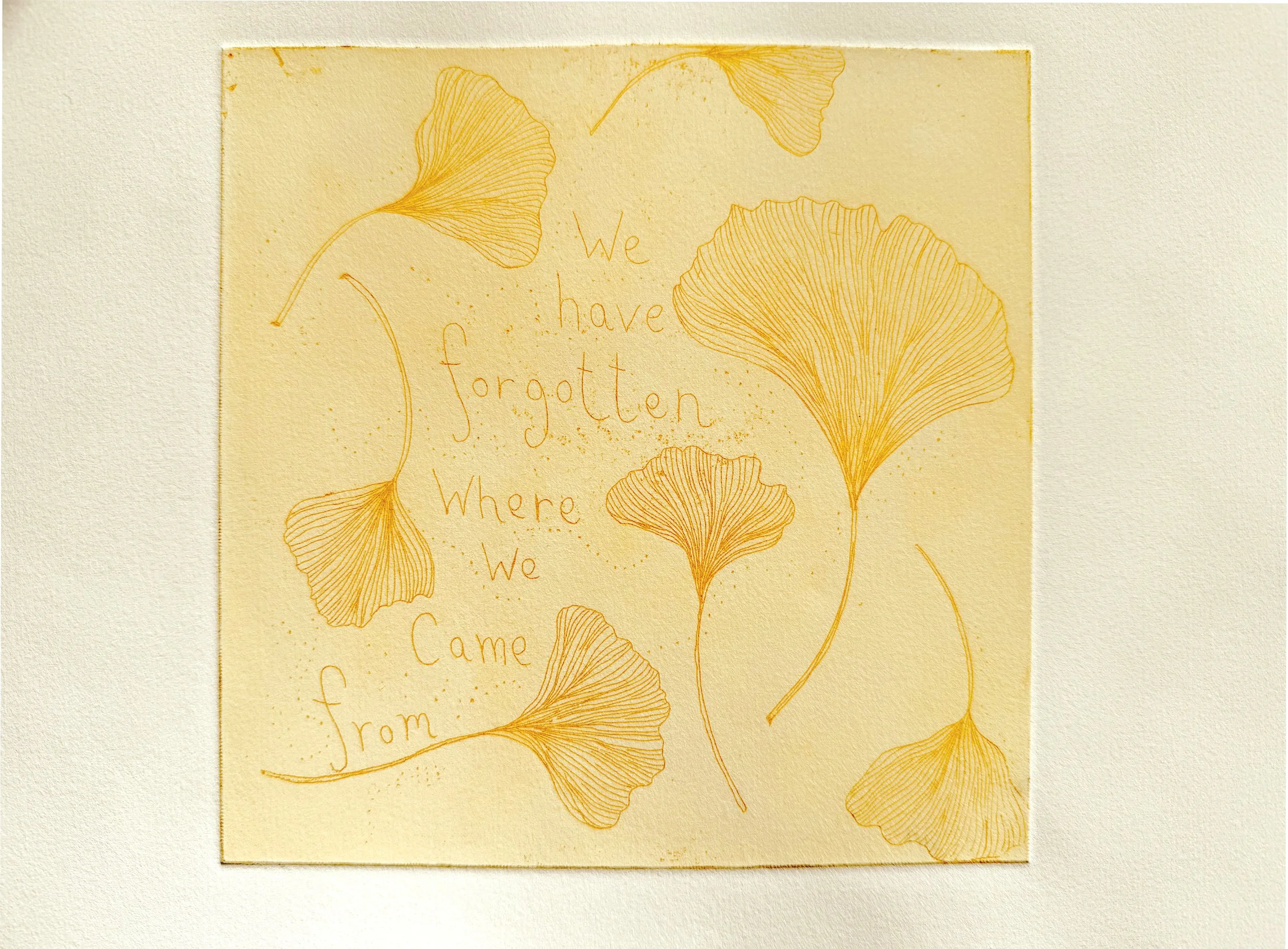 Gingko etching print