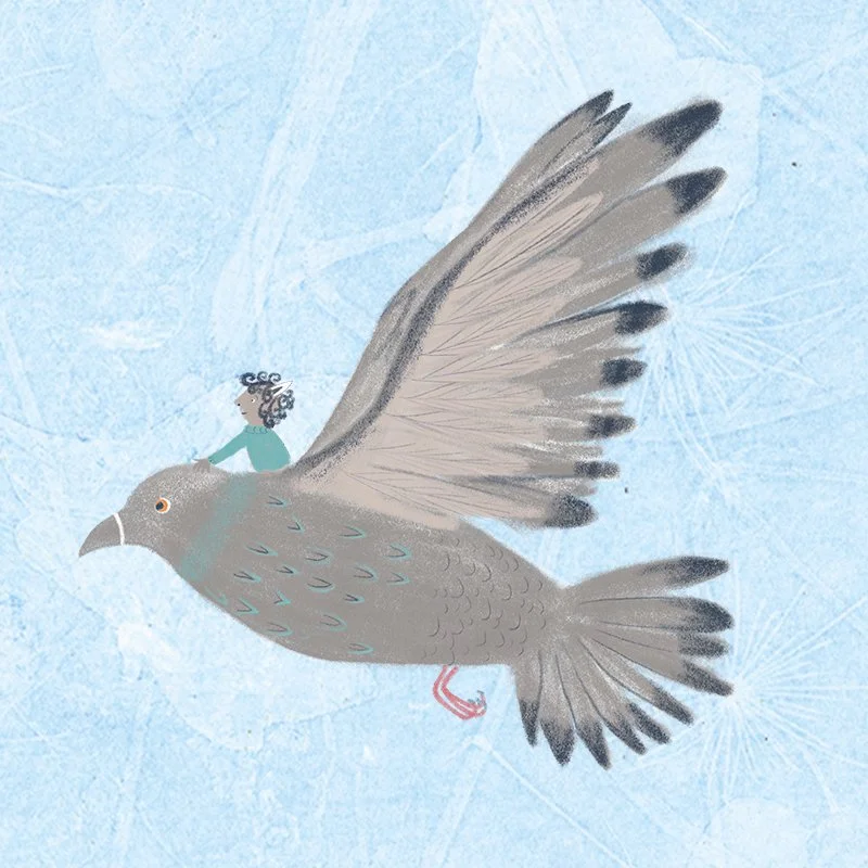 Pigeon story
