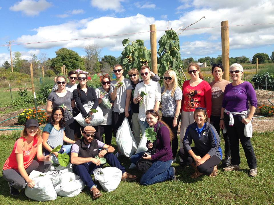 At the Rainbow Day Camp harvesting fresh produce for the Jewish Community Food Pantry.