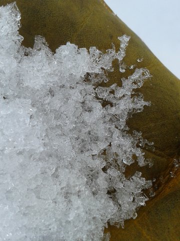 Large faceted crystals found in the snowpack