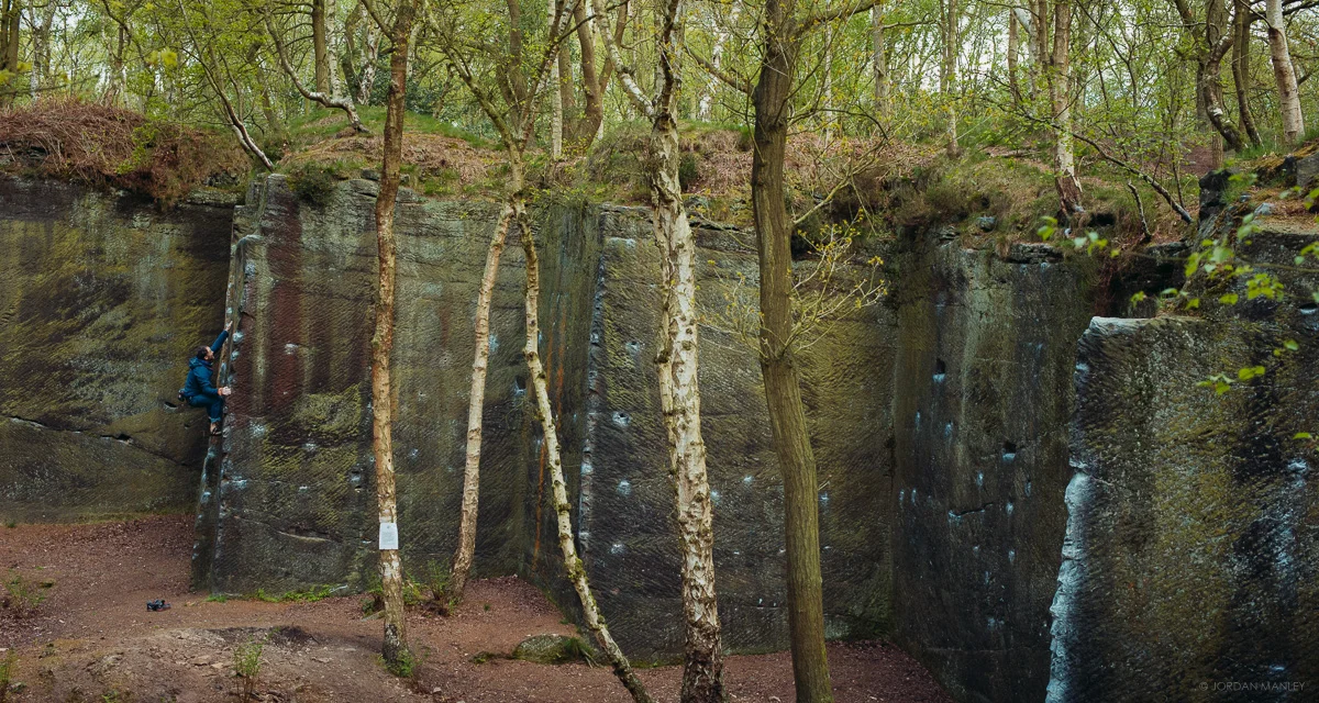 harmer's wood, yorkshire