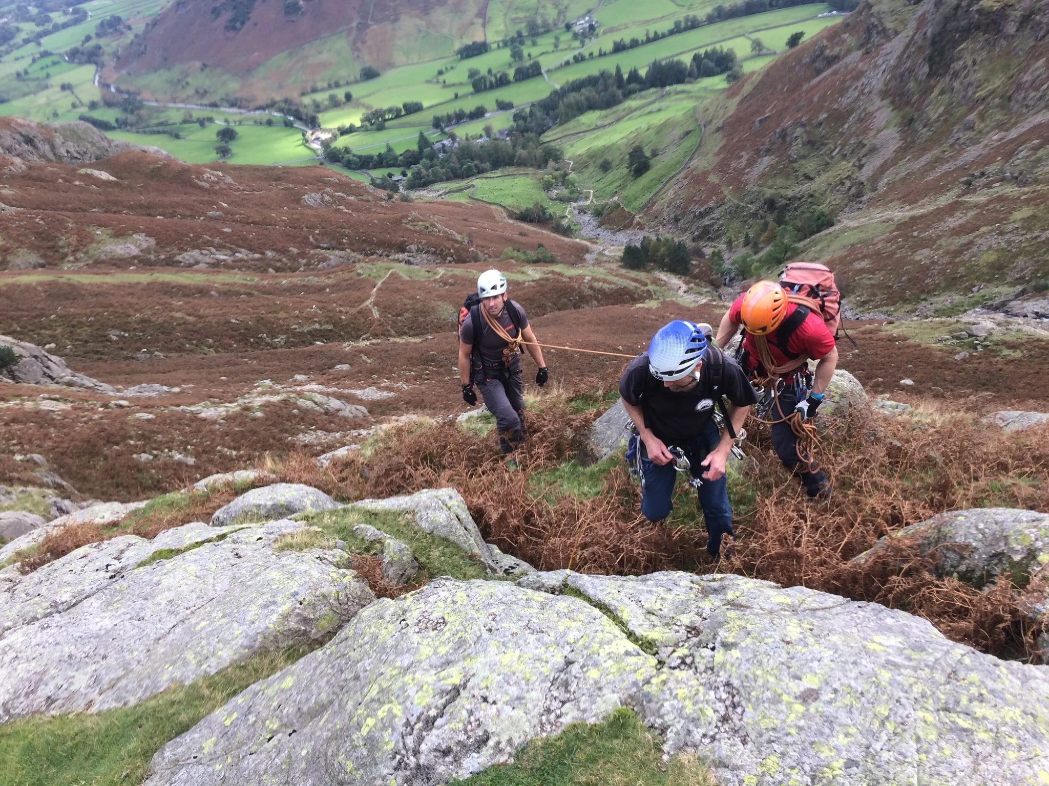 Langdale. Photo courtesy of Tom Greenwood