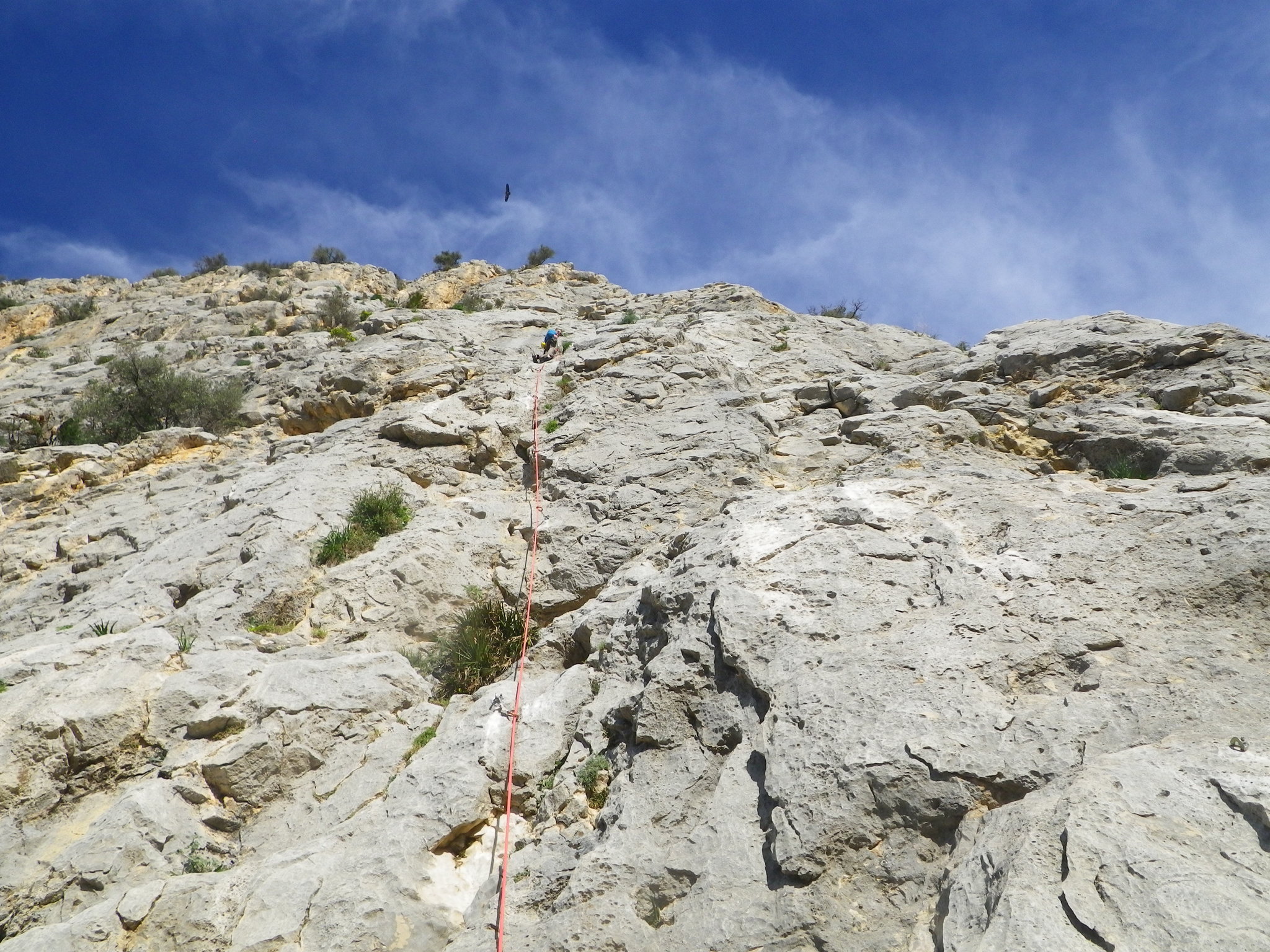 Jon on Nitti F5+/ 5+, Frontales Medias