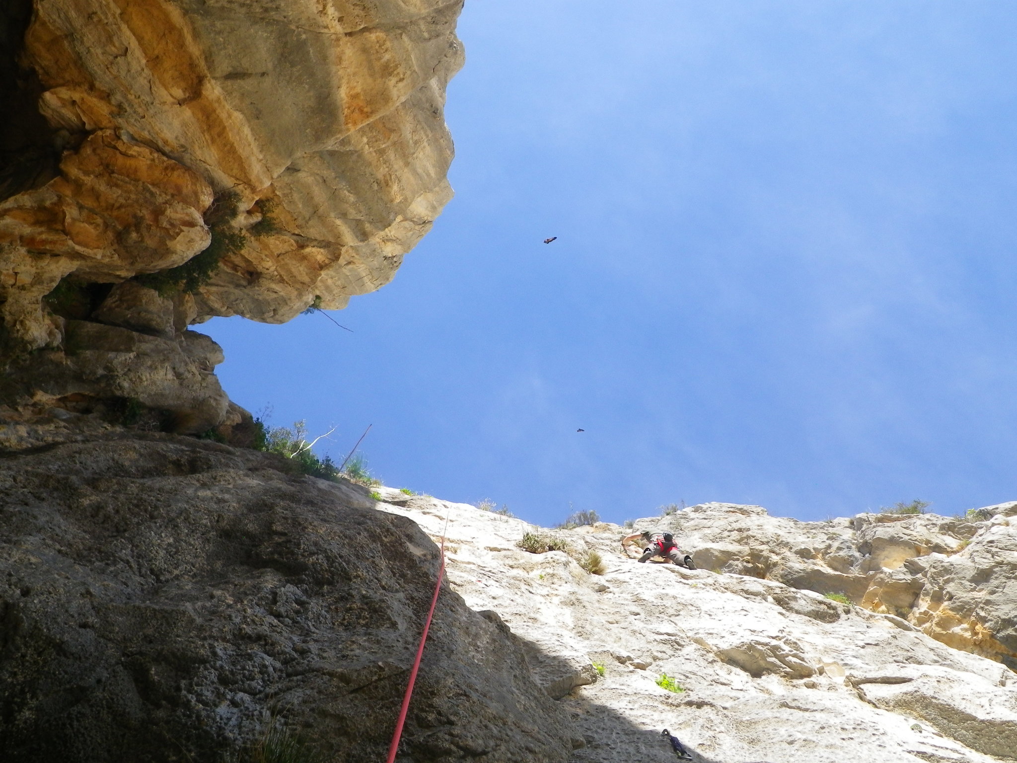 Jon on Small Person F6b, Frontales Medias