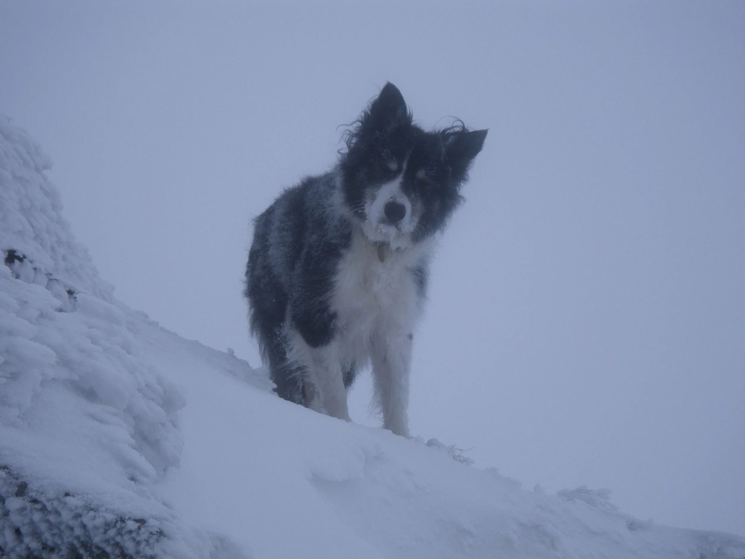 Snow on Helvellyn, 12th January 2016