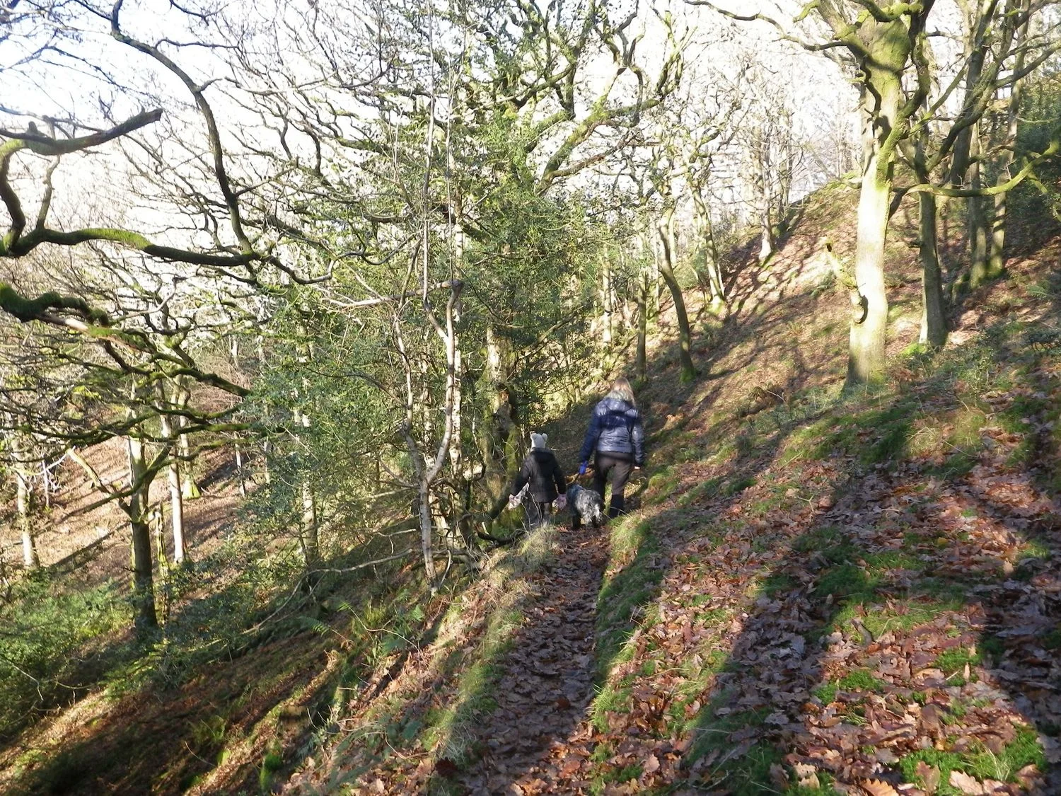 a woman and child walking through woodland on a public footpath - chris ensoll mountain guide