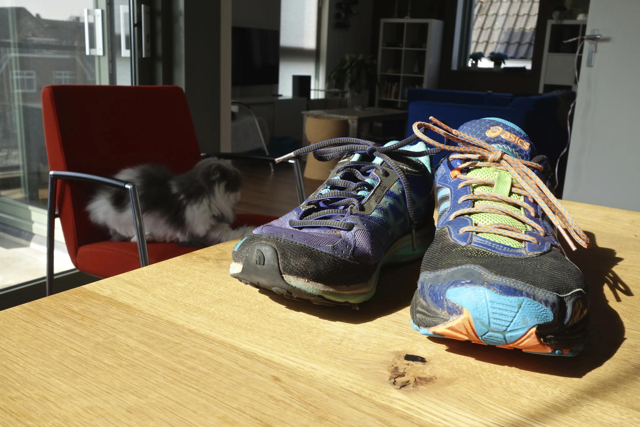 Shoes