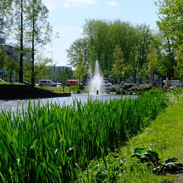 #Utrecht wat ben je #mooi. #lente #multipost