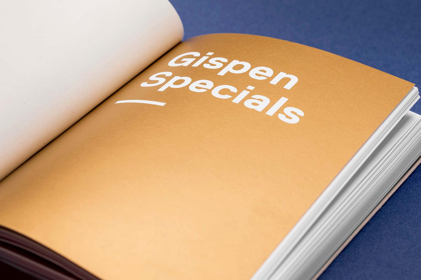 Gispen13-close-gold.jpg