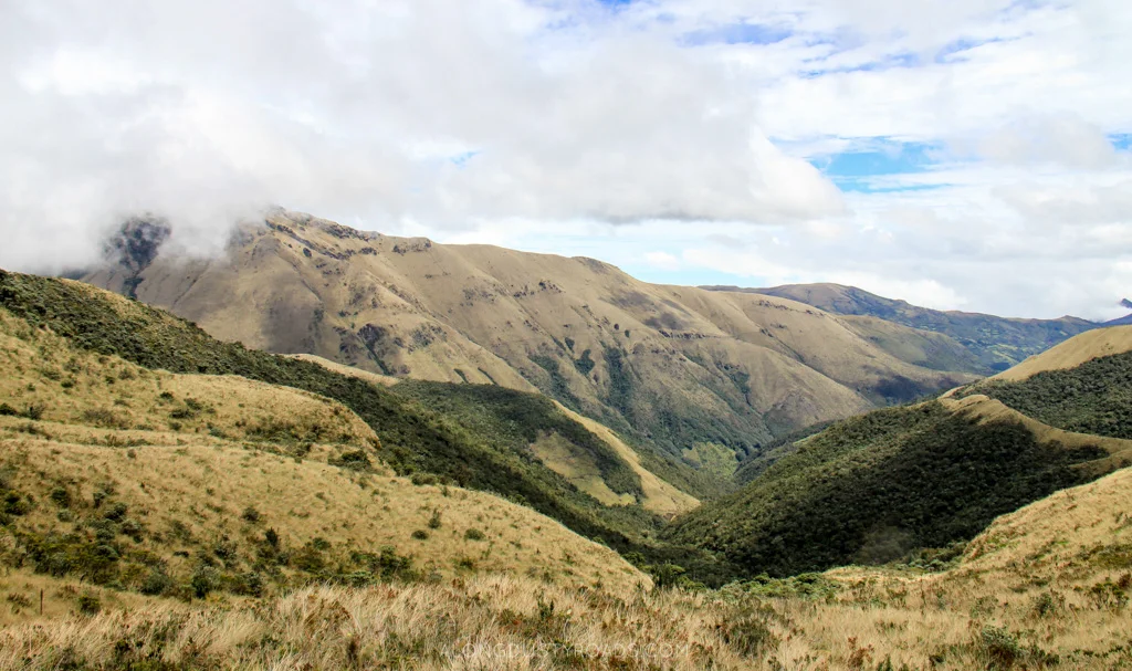 The Lake We Almost Didn't See A Guide to Hiking Volcan Azufral