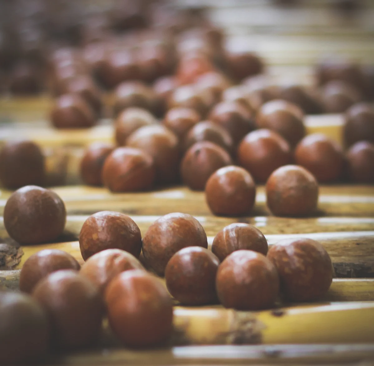 Where to Find Real Macadamia Nut Butter in Antigua, Guatemala — ALONG