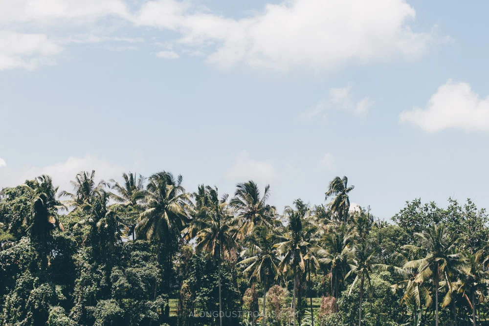 Ubud, Bali, Indonesia
