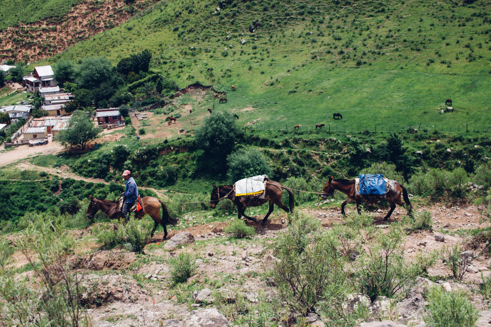 Local man and his horses, Tafi del Valle, Argentina