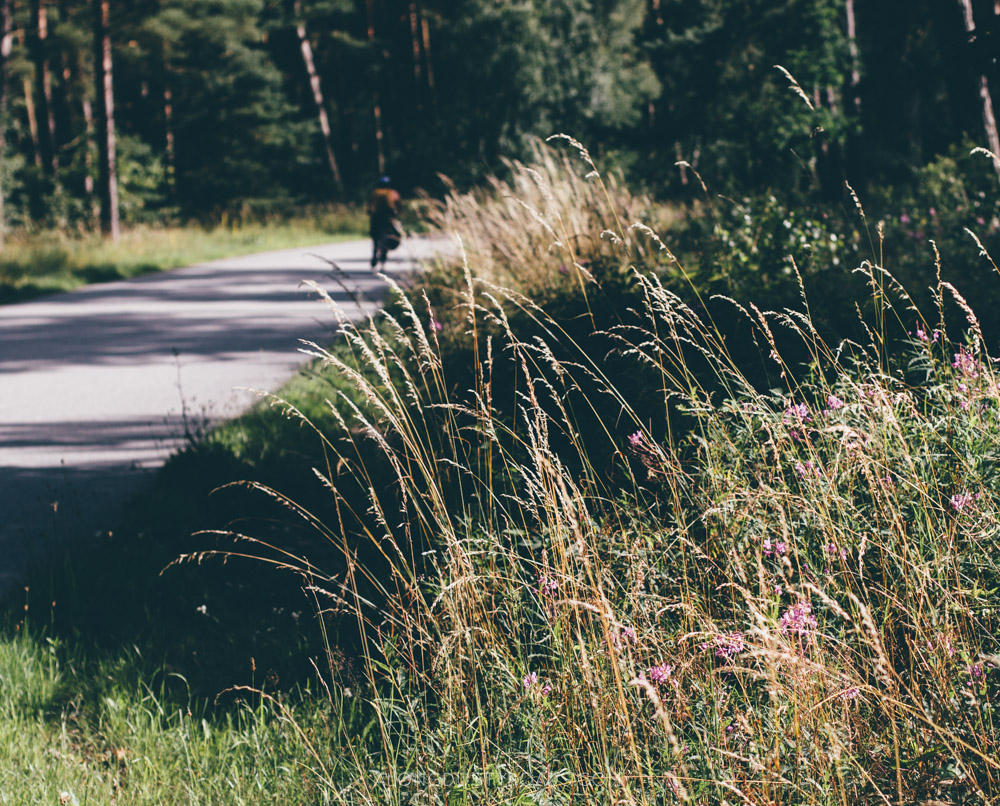 Southeast cycle trail, Skåne, Sweden