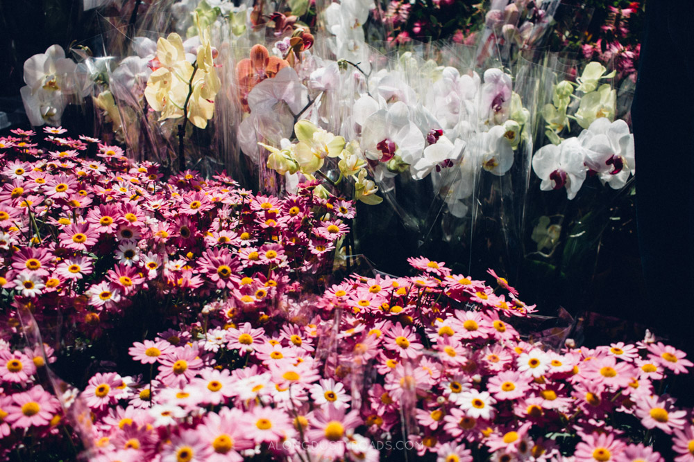 Colombia Road Flower Market - London