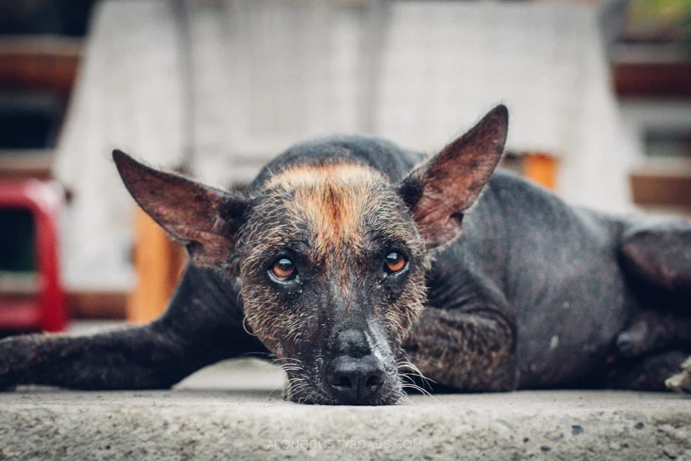 12 Tips for Staying Safe in Latin America — ALONG DUSTY ROADS