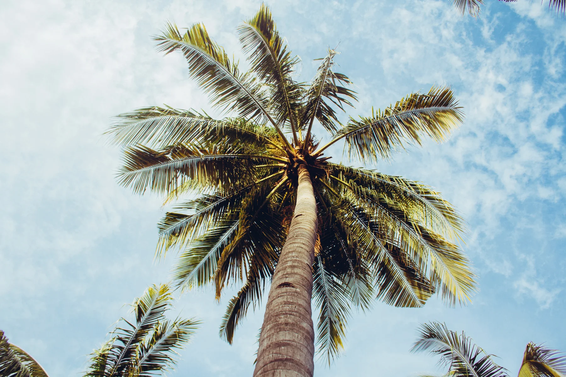 The Best Hostels in El Salvador