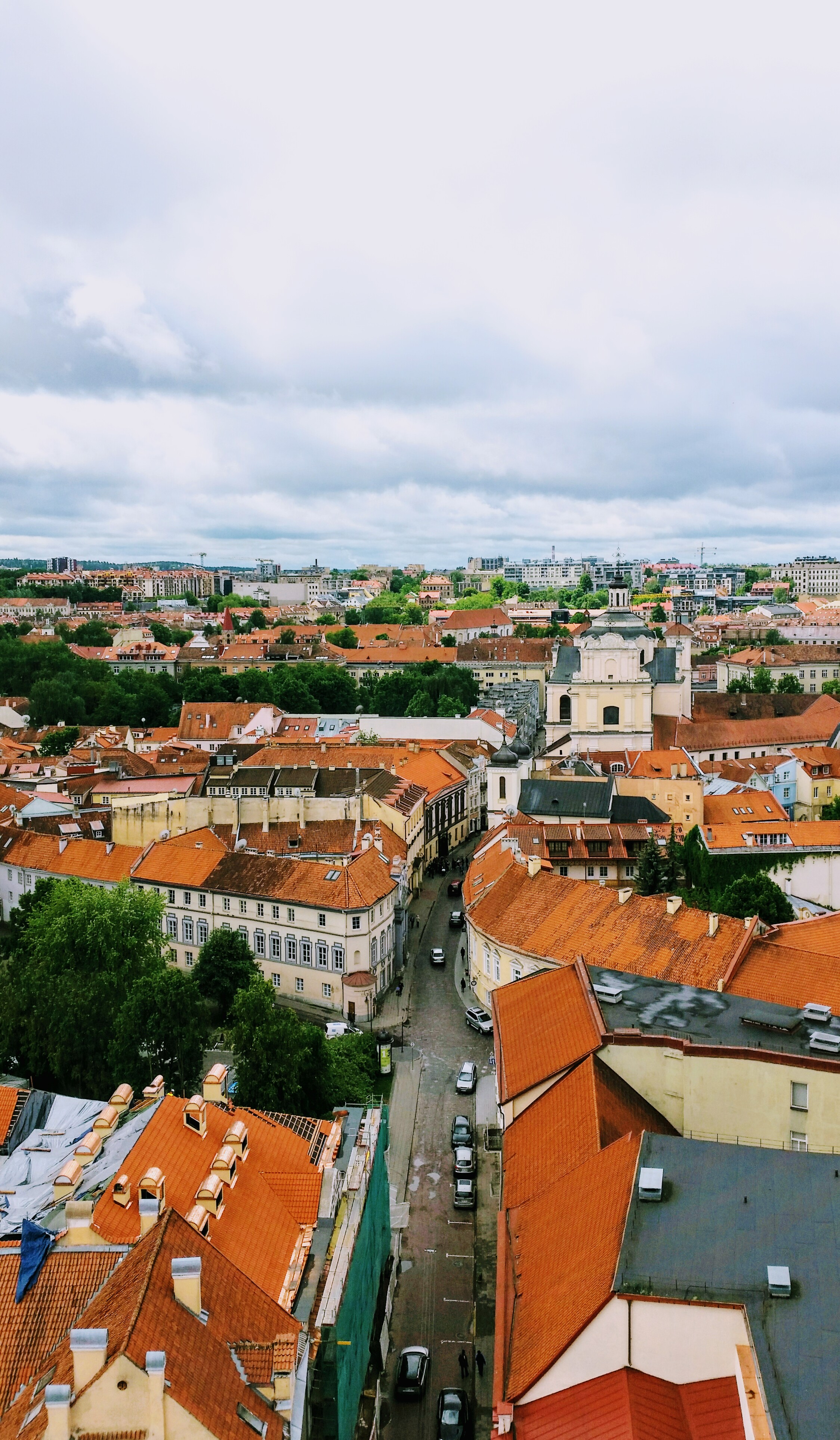 Lithuania Roof.jpg