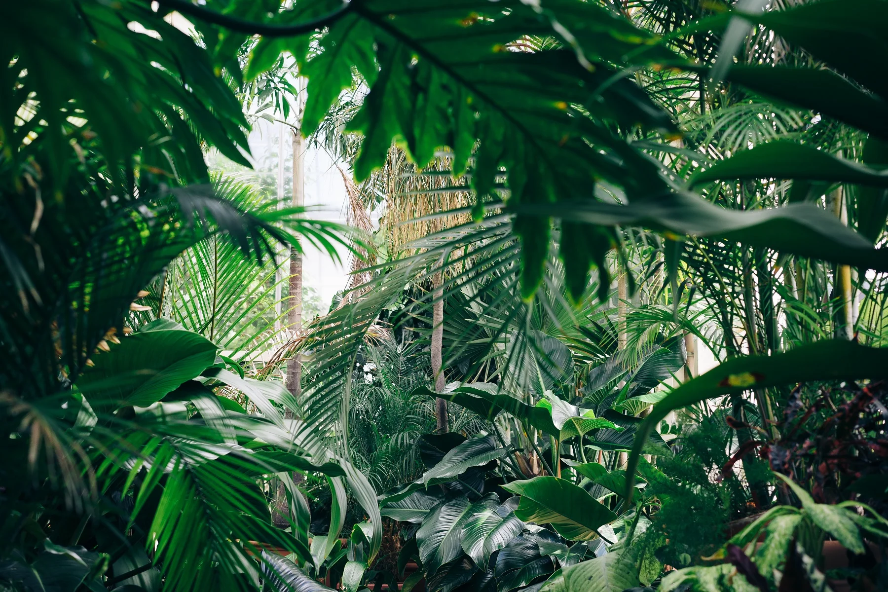Our Guide to Rio Dulce, Guatemala