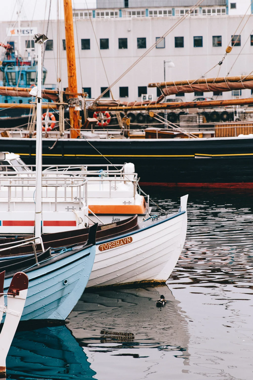 Things to do in Torshavn - Harbour
