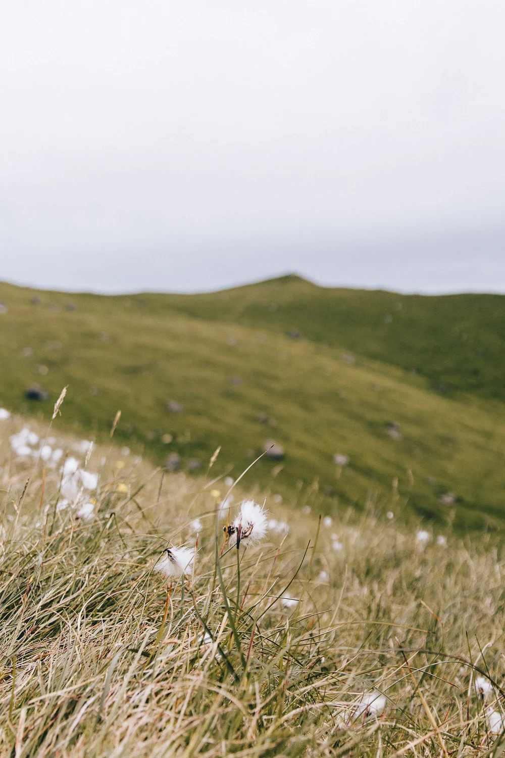 Guide to Kalsoy and the Kallur Lighthouse Hike - Faroe Islands