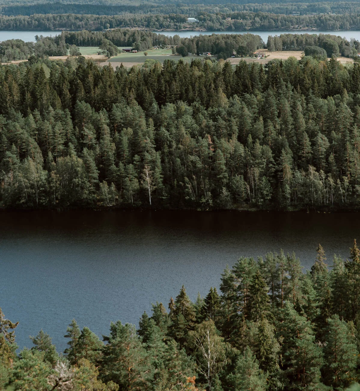 Hiking in West Sweden -  Along Dusty Roads