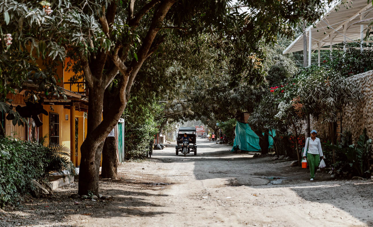 Palomino Colombia, The Main Street