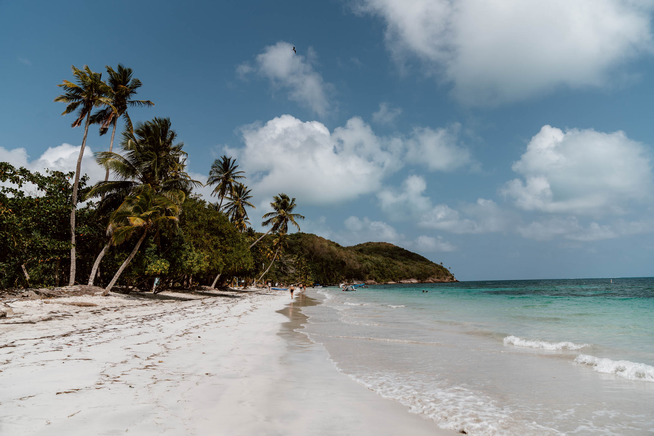 A Definitive Guide to Providencia | The Colombian Island Paradise