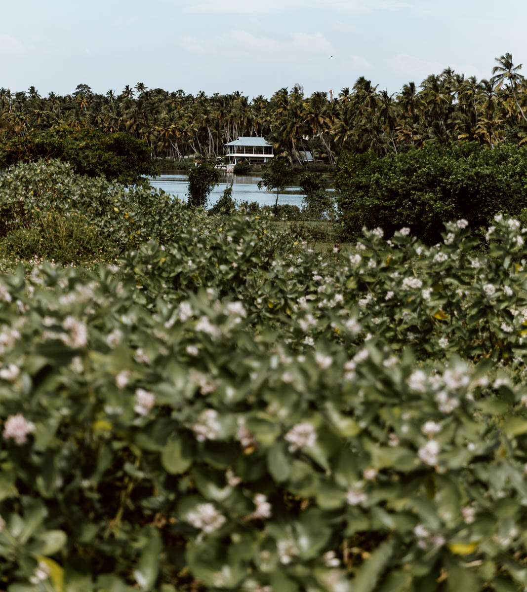 Backwaters in Varkala