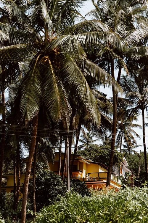 Our Guide To Kannur The Most Beautiful Beach In Kerala Along Dusty Roads