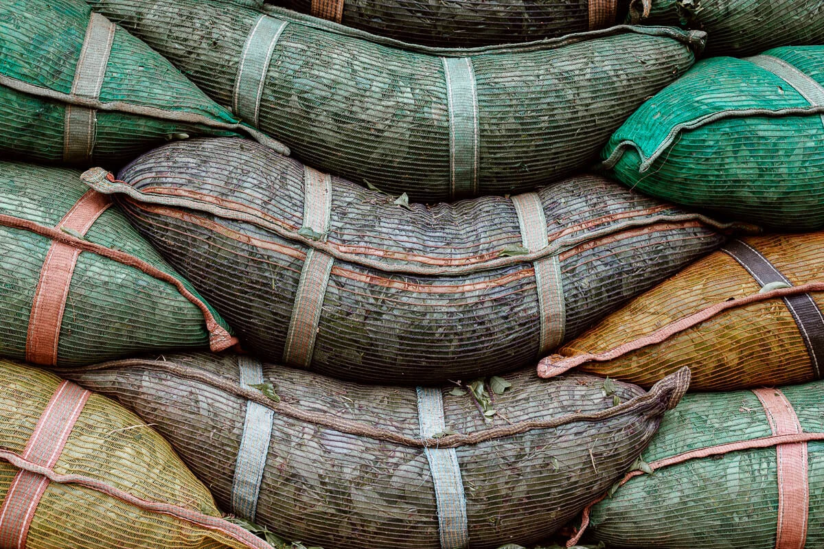 Bags of Tea, Munnar, Kerala