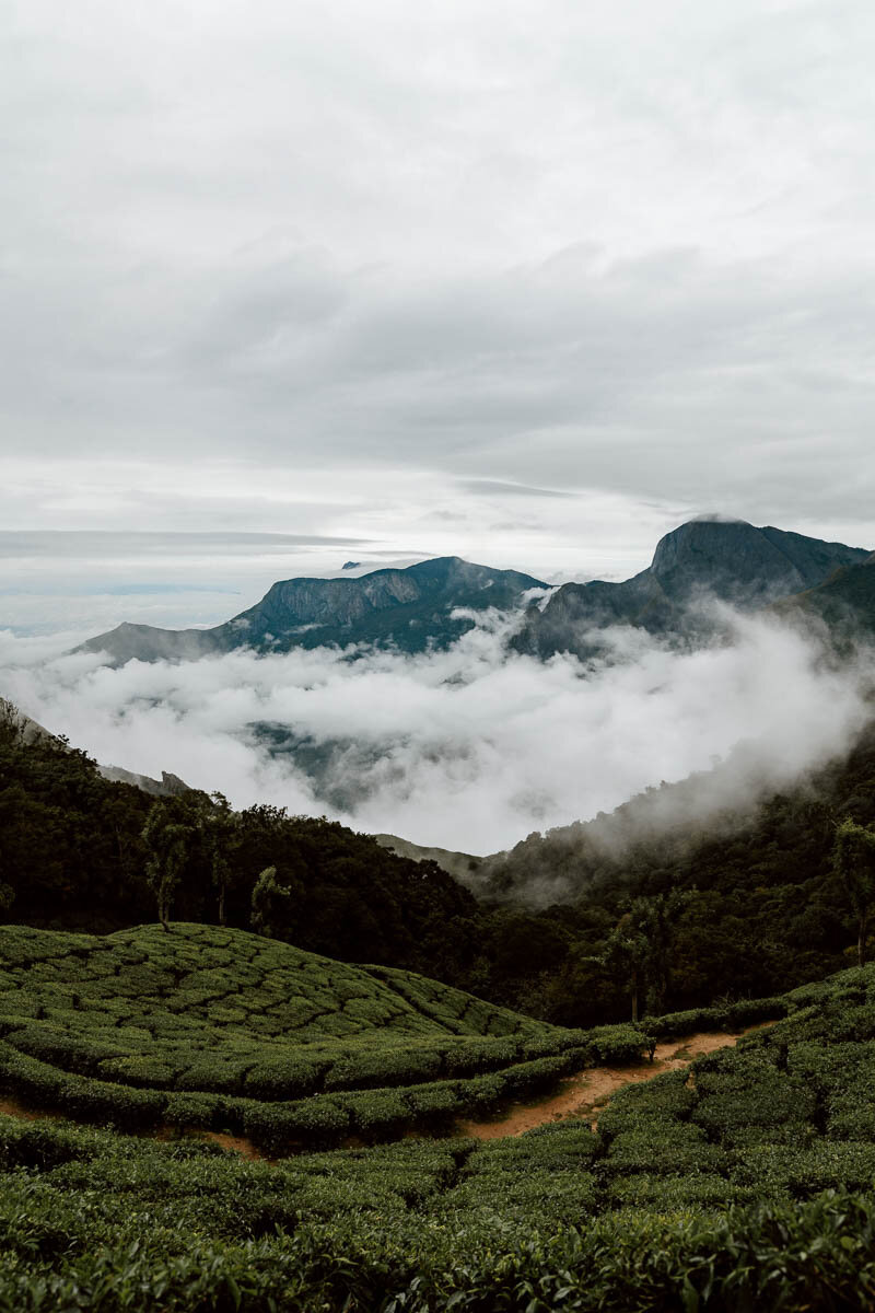 Things to do in Munnar | Visit Top Station